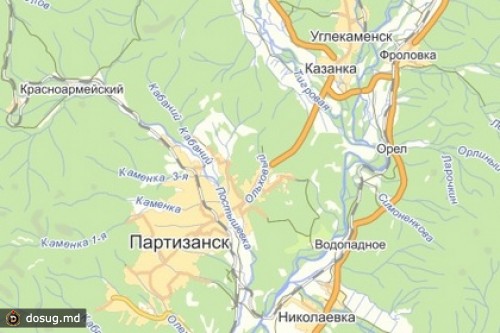 Водители расправились с виновником ДТП в Приморье