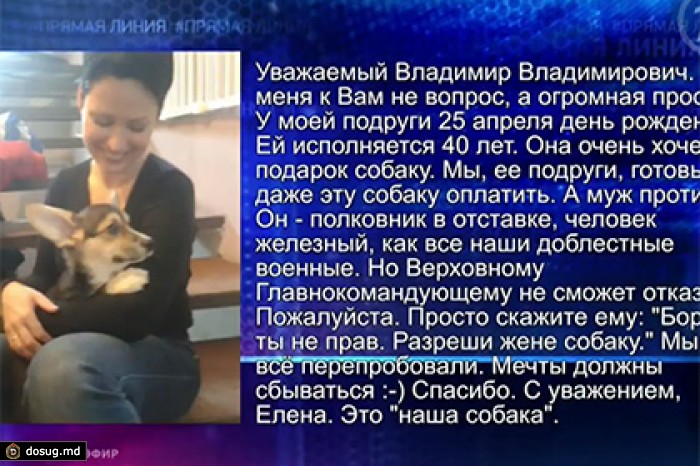 Вопрос о собаке в подарок поставил Путина в сложное положение