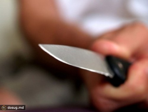 
 Вынесены приговоры за двойное убийство в Дондюшанах
