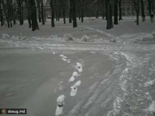 Выпавший в Омске черный снег оказался золой