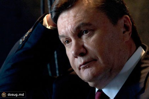 Янукович предсказал подтопление четверти Украины