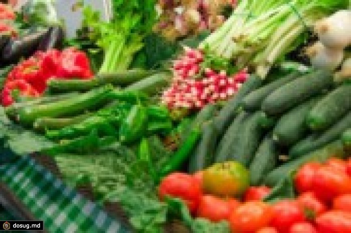 Япония научит Молдову выращивать овощи