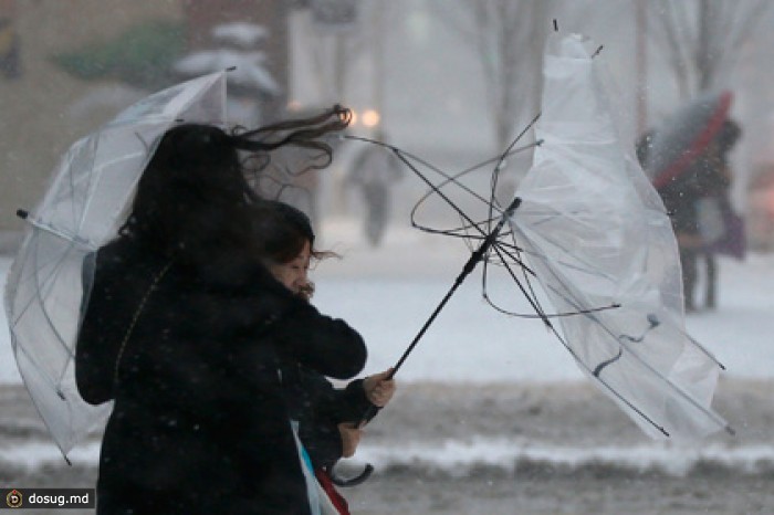 Японские автоконцерны приостановили работу из-за снегопадов