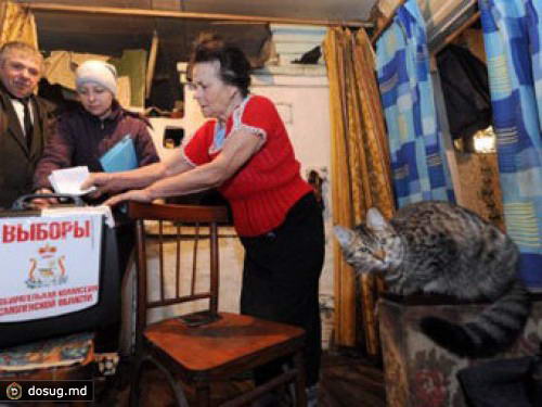 Явка на выборах в Госдуму достигла 41 процента