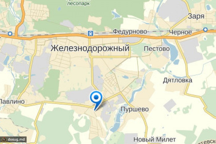 Жертвами пожара в Железнодорожном стали четыре человека
