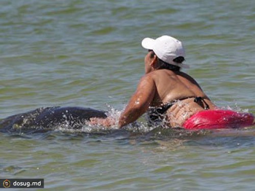 Жительницу Флориды арестовали за катание на ламантине