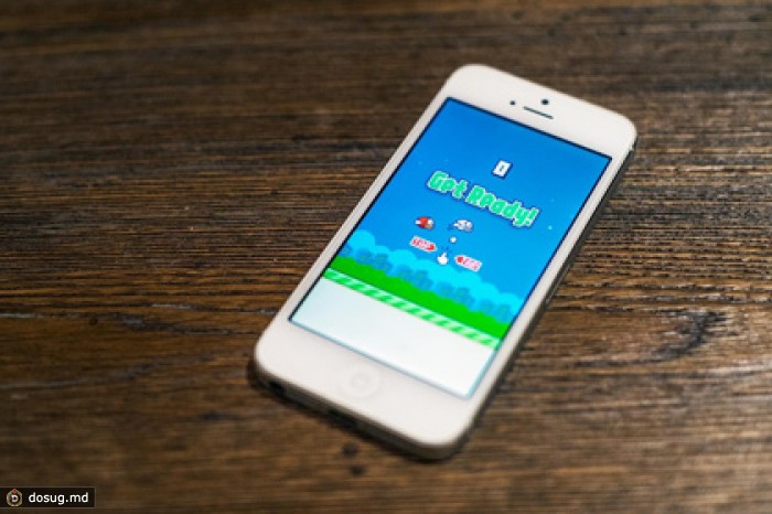 Журналистка собрала деньги на поиски создателя Flappy Bird