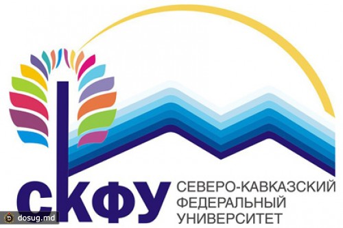 За массовую драку в Ставрополе отчислили 12 студентов