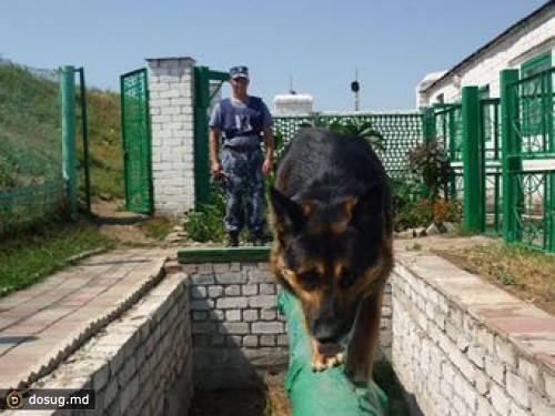 Заключенные в Башкирии объявили голодовку из-за смерти сокамерника