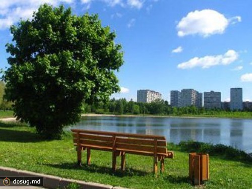 Замдиректора "Долины реки Сетунь" поймали на взятке