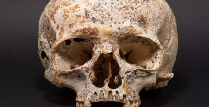 Археологи воссоздали портрет девушки, погибшей 3700 лет назад