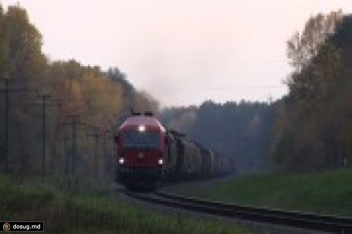 Белоруссия и Литва присоединились к «Шелковому пути» в обход России