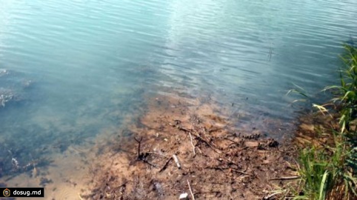 Бирюзовой стала вода в одном из озер Киева