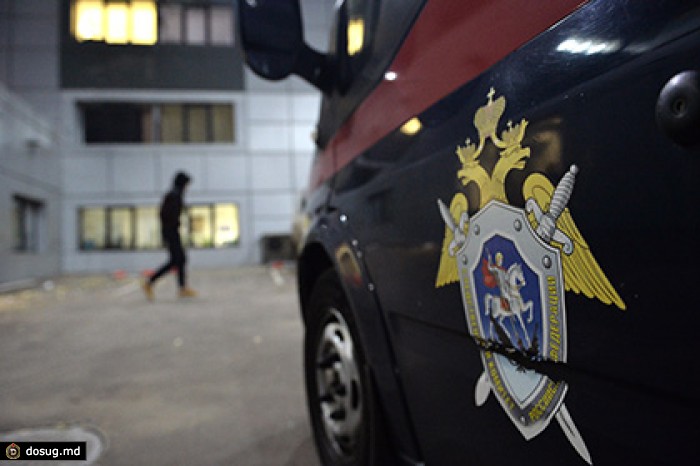 Двое сибиряков расстреляли автомобиль ради шутки