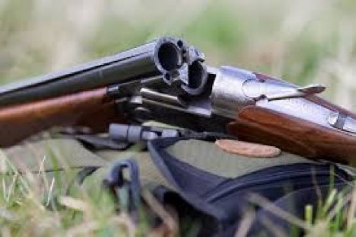 Двухлетняя девочка получила ранение из охотничьего ружья во время ссоры мужчин