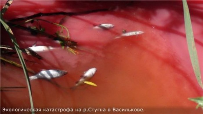 Экологическая катастрофа под Киевом: местная река стала красного цвета