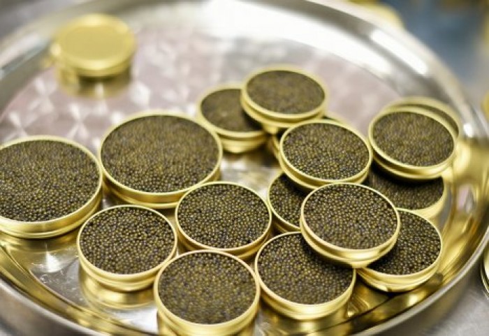 Элитные московские магазины торговали черной икрой из свинарника