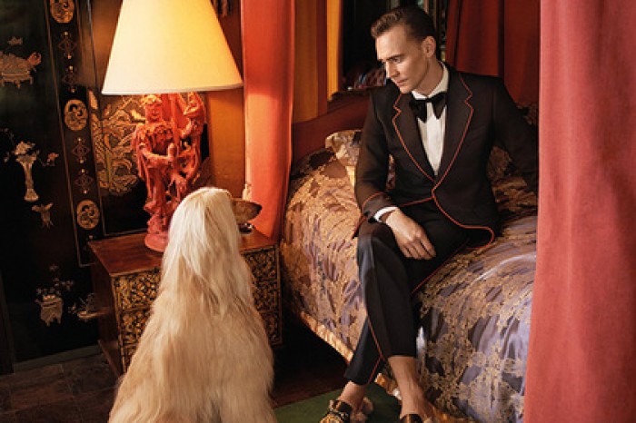 Gucci снял Тома Хиддлстона с борзыми