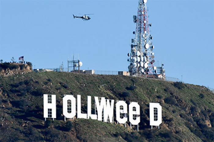 «Исправивший» знак Hollywood любитель марихуаны явился с повинной