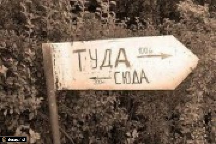 Камо грядеши - молдаване?