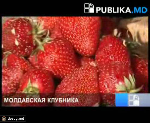 На рынке появилась молдавская клубника