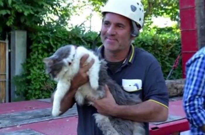 Кот провел 32 дня под завалами после землетрясения в Италии и выжил