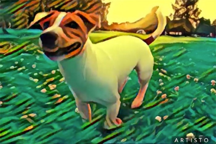 Mail.ru выпустил аналог Prisma для видео