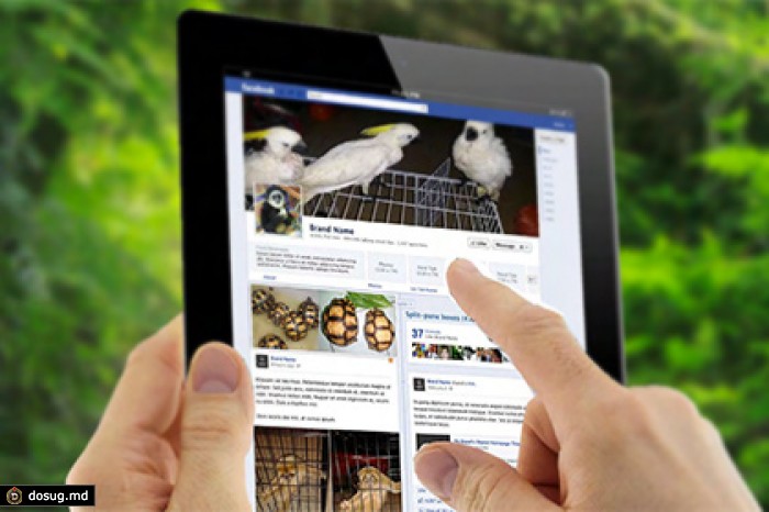Малайзийцы начали нелегально торговать редкими животными в Facebook