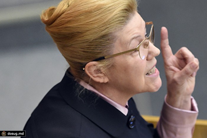 Мизулина призвала оградить детей от порочащих образ России видеоигр
