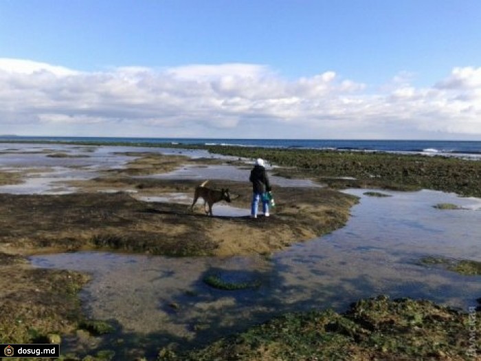 Море отступило от побережья Одесской области