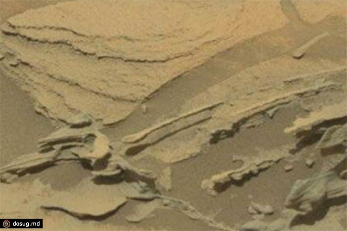 На фотографии Марса обнаружили парящую ложку