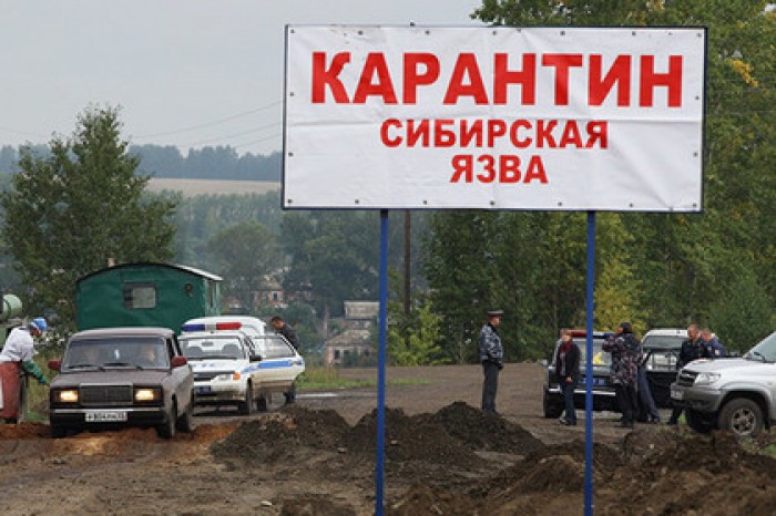 На Ямале ликвидировали последствия вспышки сибирской язвы