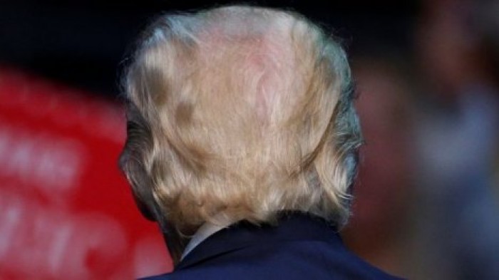 Новый вид моли назвали в честь Трампа
