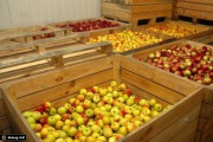 Около 80% яблок Казахстан получает из Молдовы