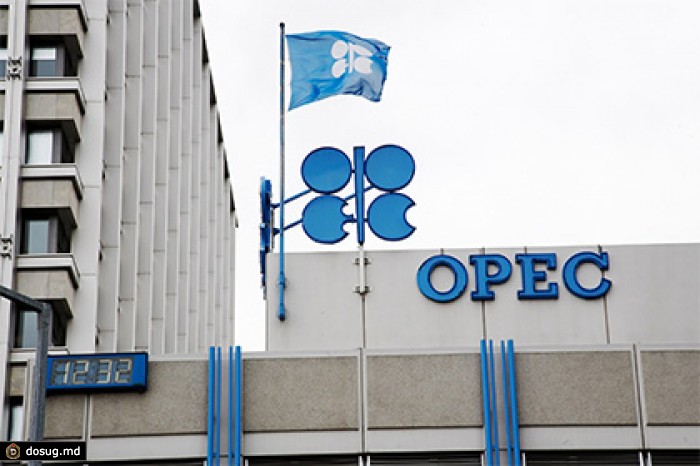 ОПЕК предсказала подорожание барреля нефти до 80 долларов к 2020 году