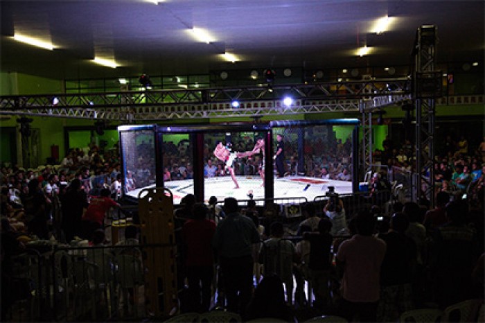 Определились чемпионы России 2016 года по MMA
