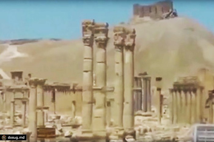 Опубликовано видео разрушений в сирийской Пальмире