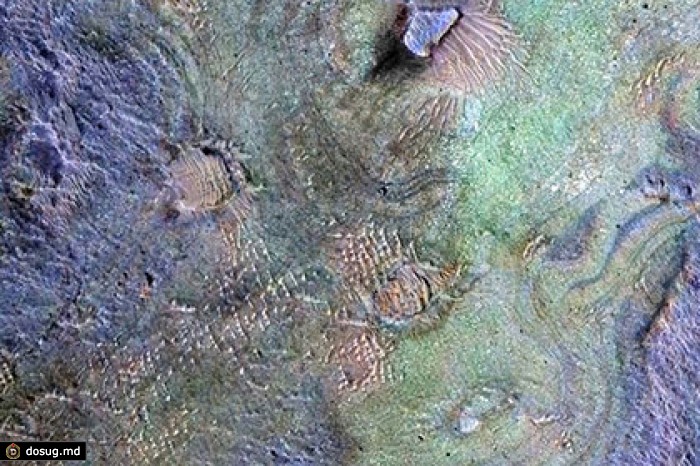 Планетологи опровергли теорию «теплого и мокрого» Марса