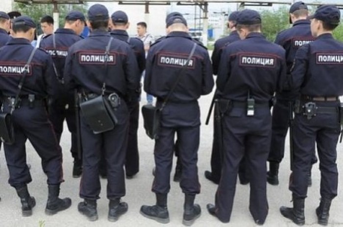 Полиция Москвы купит солярии для лошадей