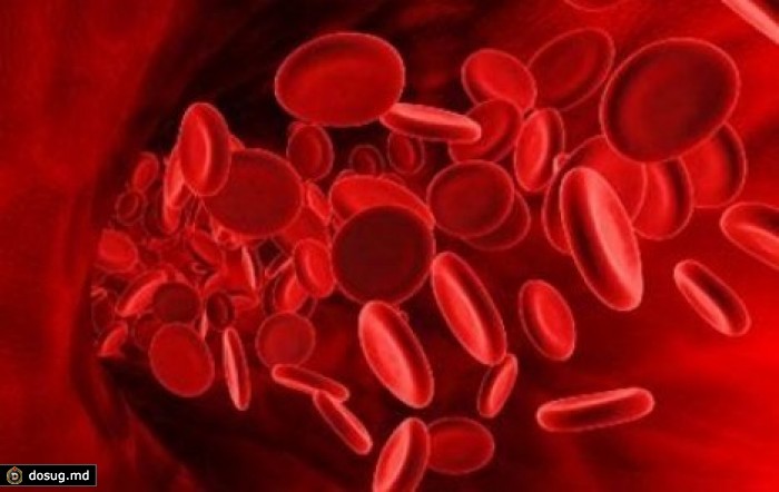 Получены искусственные эритроциты, способные заменить донорскую кровь
