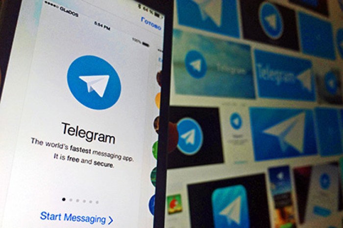 Пользователи Telegram обнаружили базу личных данных автовладельцев