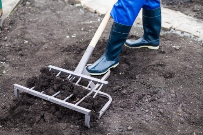 "Ведь асфальт дорогой": рабочий заделывал землей дыры в дороге