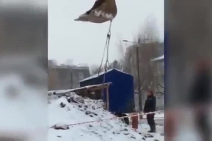 Рабочие превратили ковш экскаватора в качели