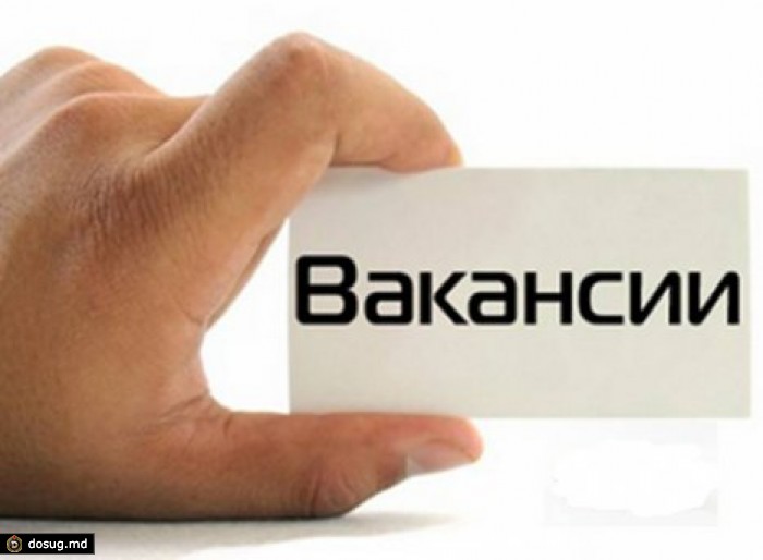 Рейтинг самых высокооплачиваемых вакансий в Молдове