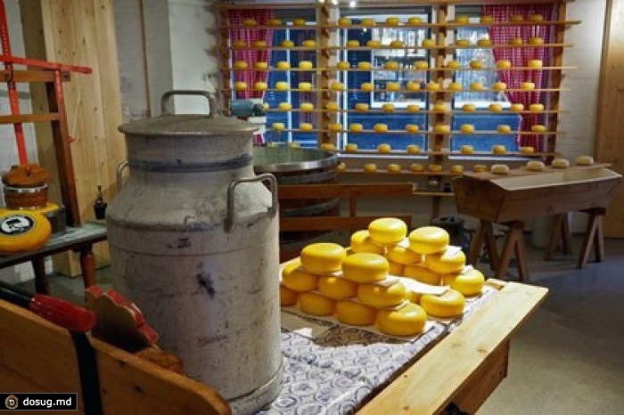 Роспотребнадзор признал российскую молочную продукцию качественнее импортной