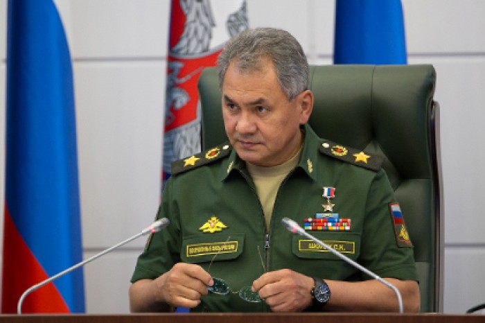 Шойгу доложил Путину о взятии Пальмиры
