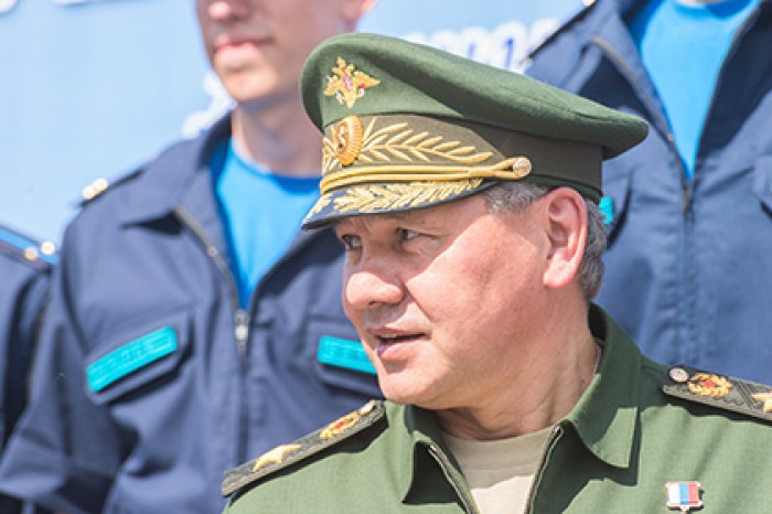Шойгу заявил о подготовке Россией и США мирного урегулирования под Алеппо