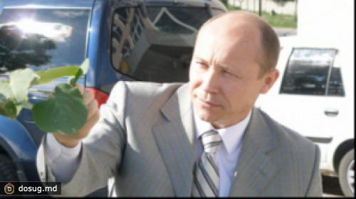 Председателем парламентской фракции ЛДПМ стал Валерий Стрелец
