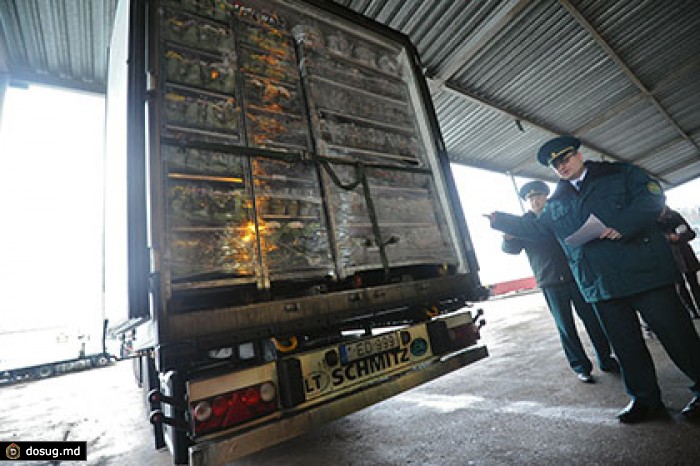 Таможенники за неделю вернули в Турцию 185 тонн сельхозпродукции