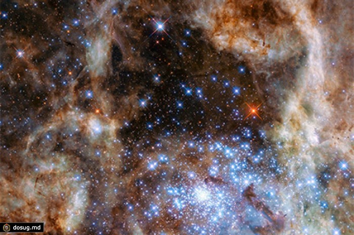 Телескоп Hubble обнаружил девять звезд-монстров